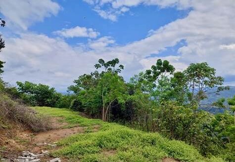 Big view lot in nature in gated community of Atenas – 40005152768