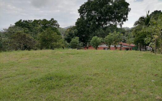 Countryside setting with views in Atenas – 40005152589