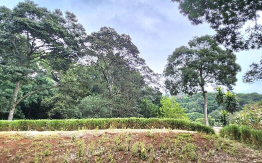 2,891m of usable land with a stream and trees – 400052042156