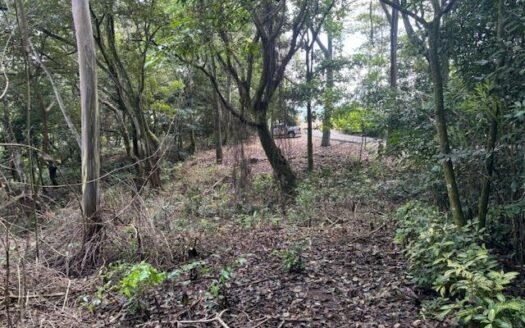 One of the last lots located in a private community adjacent nature in Atenas – 40005152966