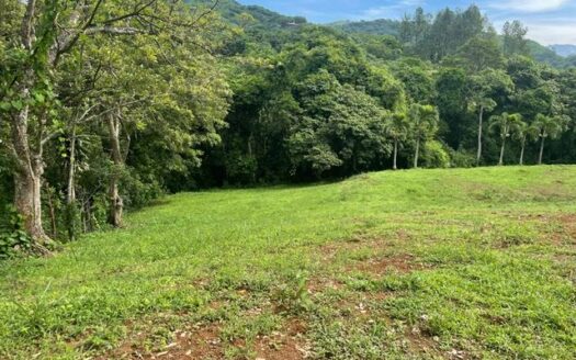 Lot for sale in an exclusive neighborhood in the Atenas countryside – 40005152994