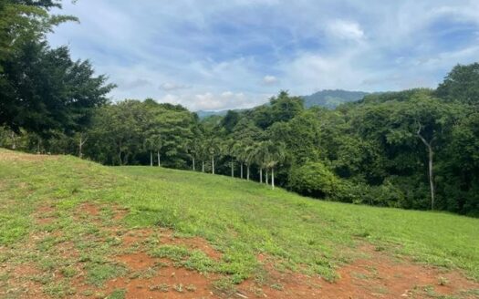 Lot for sale in an exclusive neighborhood in the Atenas countryside – 40005152994