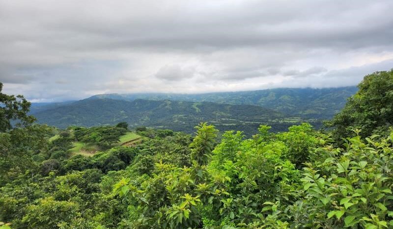 Alajuela, province of Costa Rica