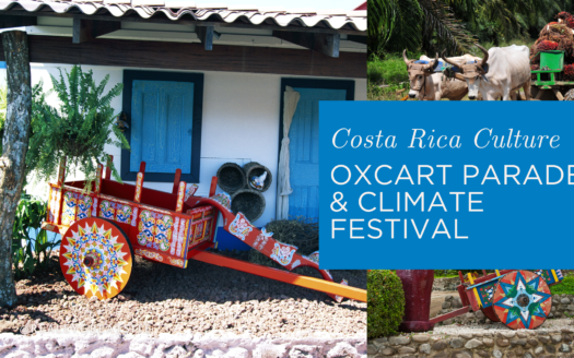 activities in atenas costa rica oxcart parade