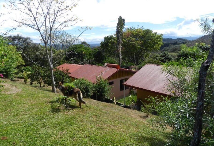 Costa Rica House/Villa #40005152436