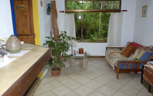 Unique style home in exclusive ex pat community of Atenas – 00139152205