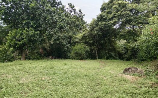 Property surrounded by nature while still having access to essential amenities – 400052042075