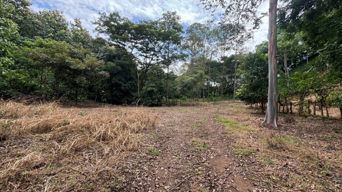 Costa Rica Lot/Land #40005152952