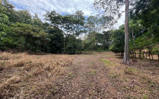 New premier lots in the private community of Las Rocas – 40005152952