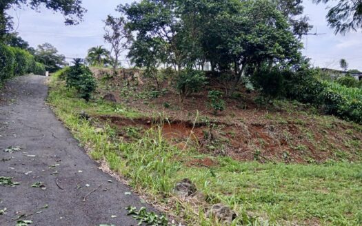 Property surrounded by nature while still having access to essential amenities – 400052042075