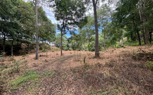 New premier lots in the private community of Las Rocas – 40005152952