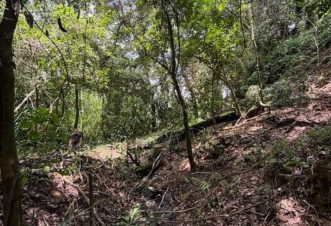 6 Hectares (15 acres) with home and plenty of water – 40005152957