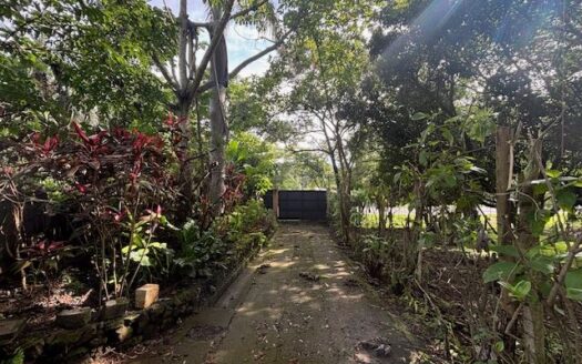 Unique style home surrounded by tropical gardens just minutes away from Atenas Center – 40005152942