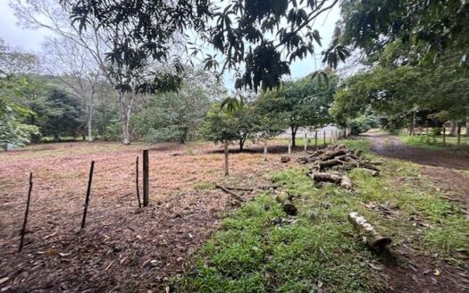 All usable 2195 (1/2 acre) in developing area just 5 minutes from town – 40005152982