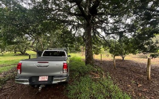 All usable 2195 (1/2 acre) in developing area just 5 minutes from town – 40005152982