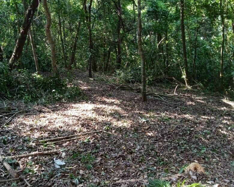 Costa Rica Lot/Land #400051521000