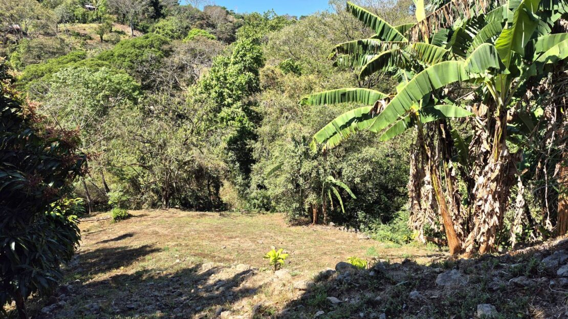 Costa Rica Lot/Land #400052042187