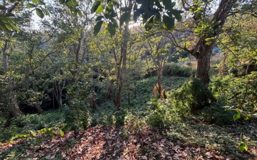 Typical home with 8201m2 lot with big views – 400051521022