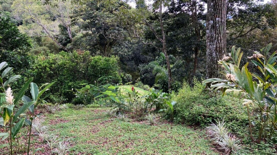 Costa Rica Lot/Land #400051521044
