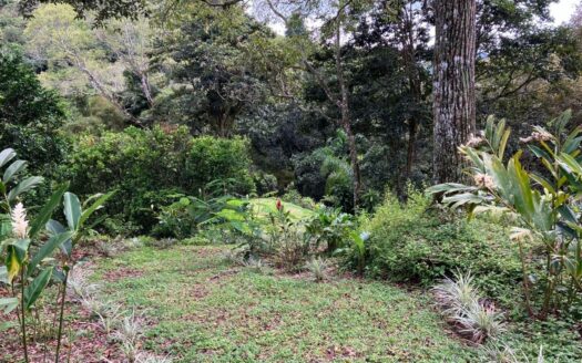 Ideal shovel-ready Farm for a private development for USD $395,000. – 400051521044