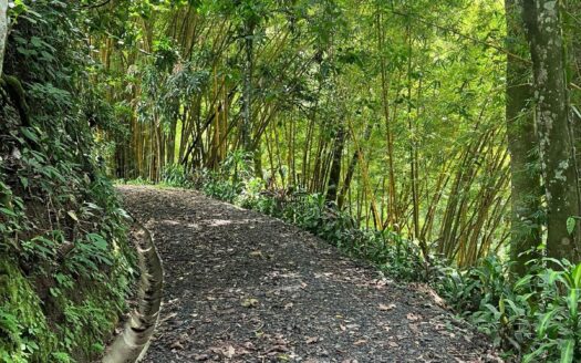 Ideal shovel-ready Farm for a private development for USD $395,000. – 400051521044