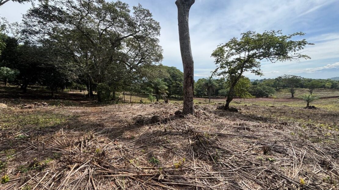 Costa Rica Lot/Land #400051521084