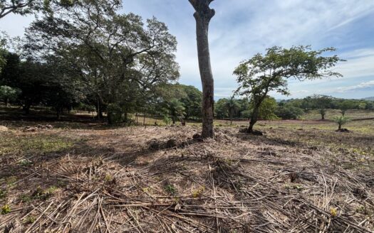 New to market!  Very exclusive lots in private community in the Atenas countryside – 400051521084