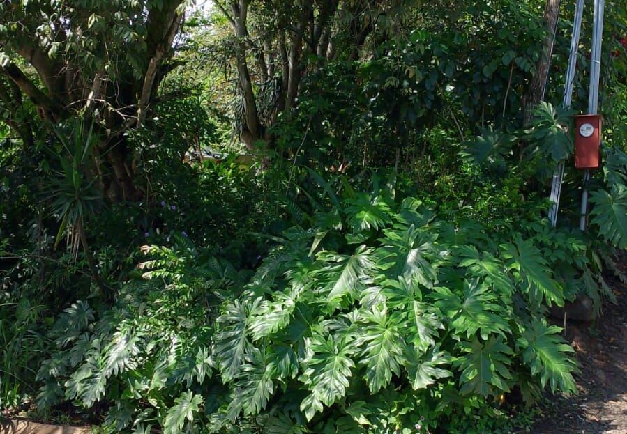 Costa Rica Lot/Land #400051521082