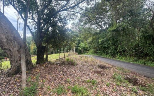 1,000m2 with fruit trees ideal for future home plot. – 400051521079