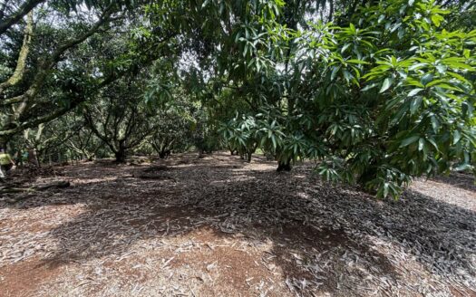 New to market!  Very exclusive lots in private community in the Atenas countryside – 400051521084