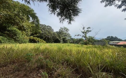 Beautiful lot for sale in a private community with common gate 3 minutes from Atenas Center – 400051521078
