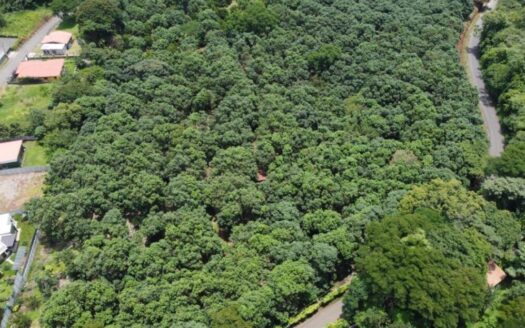 1,000m2 with fruit trees ideal for future home plot. – 400051521079