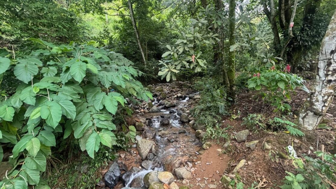 Costa Rica House/Villa #400051521080