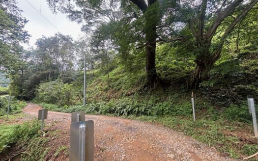 Farm like property with 2 homes near stream in Desmonte – 400051521080