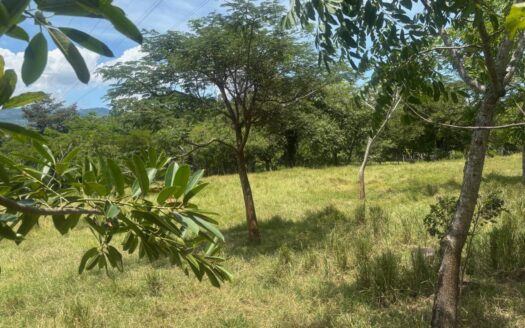 Lot in area close to the 27 and town center in the Atenas countryside – 400051521087