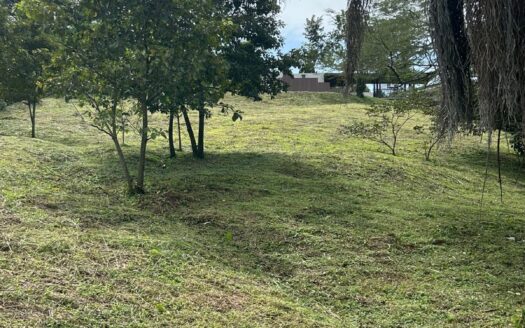 One of the last lots in one of the most exclusive Atenas neighborhoods – 400051521096