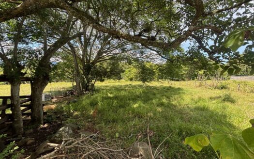 Lot in area close to the 27 and town center in the Atenas countryside – 400051521087