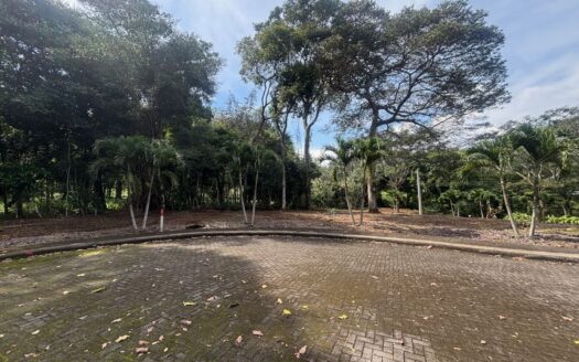 Atenas’ first 80-lot in condominium from 260m2 to 562m2 at $250/m2 in guarded perimeter – 400051521091