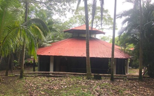 Versatile Property with Multiple Buildings, Pool & Extensive Land – 4.61 acres – 400052042221