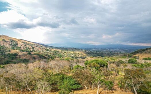 Prime 1,000 m² Lot with Beautiful Views and Ready-to-Build Terraces – 400052042224