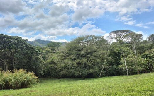 Spacious 1.84-Acre Build-Ready Lot in a Peaceful Gated Community Near Atenas – 400052042225