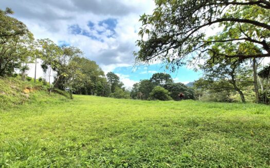 Spacious 1.84-Acre Build-Ready Lot in a Peaceful Gated Community Near Atenas – 400052042225