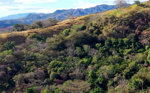 Finca de 13,269m2 con vistas grandes del mar y casita – 400051521101