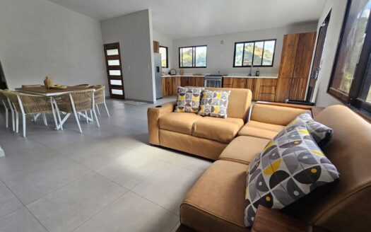 Brand New Modern Style Home in Barrio Jesus 3b/2ba – 400052010057