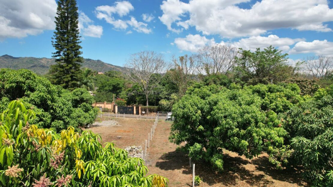Costa Rica Lot/Land #400052042233