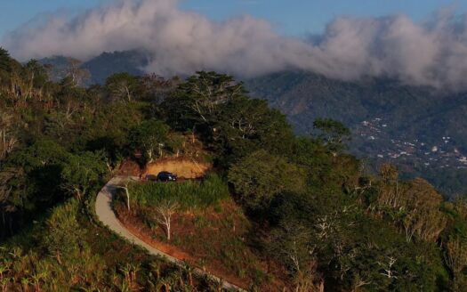 Lovely property with incredible views on the border of Atenas and Palmares – 400051521127