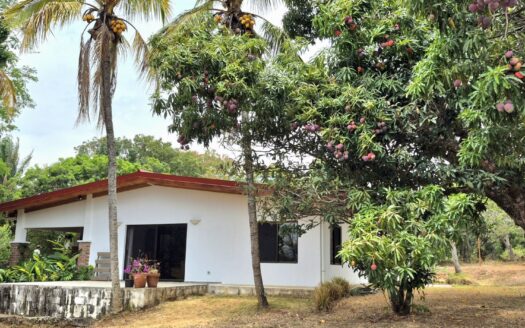 Casa Níspero – Private Nature Retreat with Volcano Views | Furnished Rental in Atenas, Mercedes – 400052042245