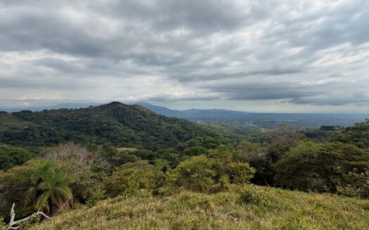 193 acres (781,527m2) Large farm with amazing views of the Pacific and forest – 400051521133