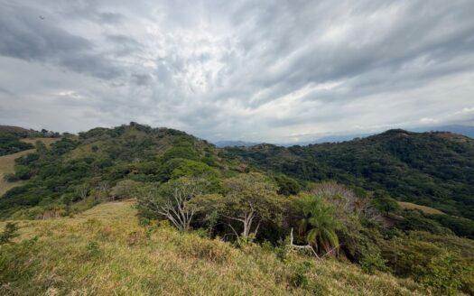193 acres (781,527m2) Large farm with amazing views of the Pacific and forest – 400051521133