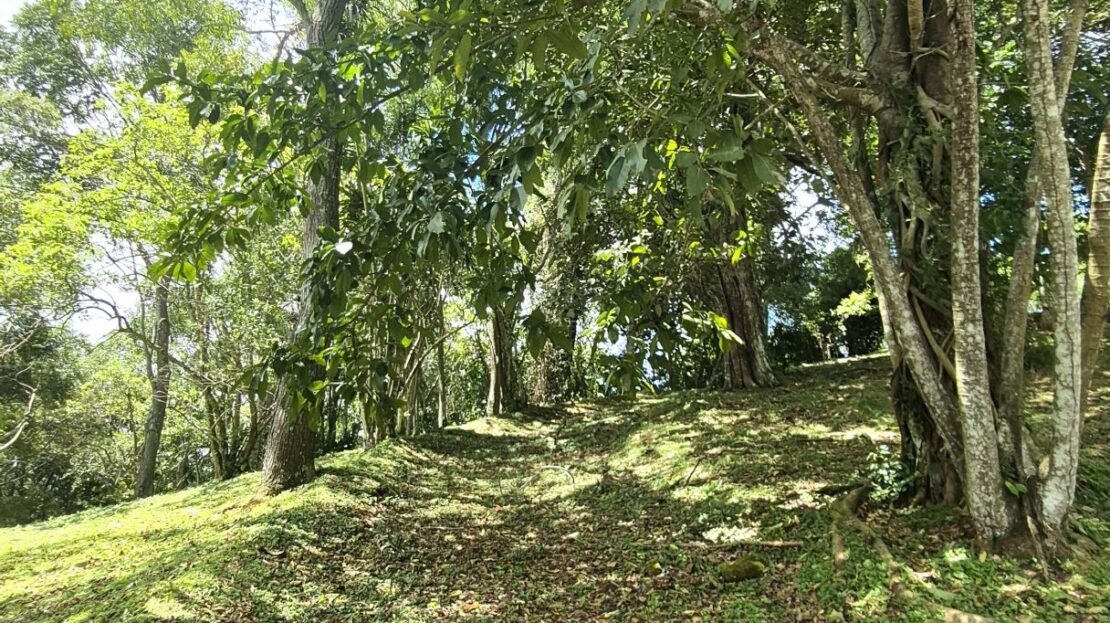 Costa Rica Lot/Land #400052042063